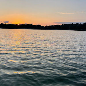 Meet your Posher, Ron